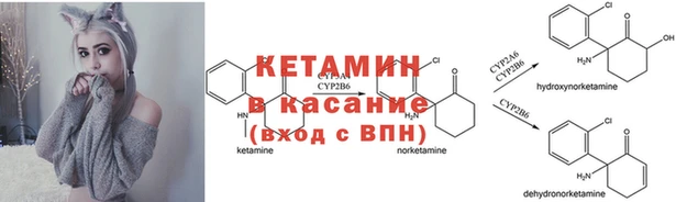 кокс Козловка