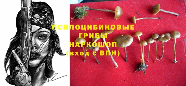 первитин Киреевск