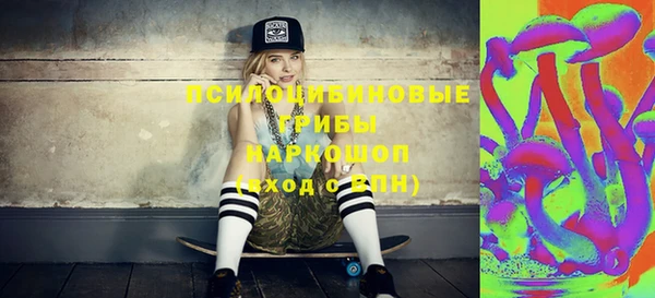 МДПВ Болотное