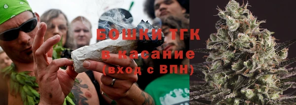 кокс Корсаков