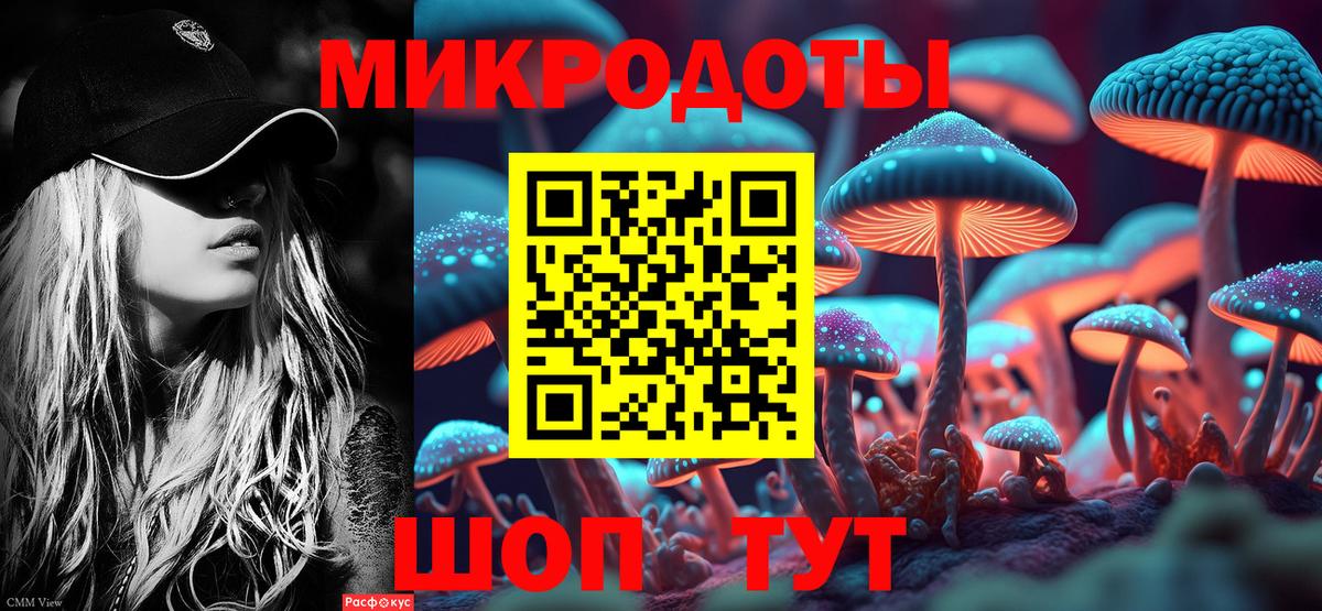 Галлюциногенные грибы Psilocybe Кропоткин