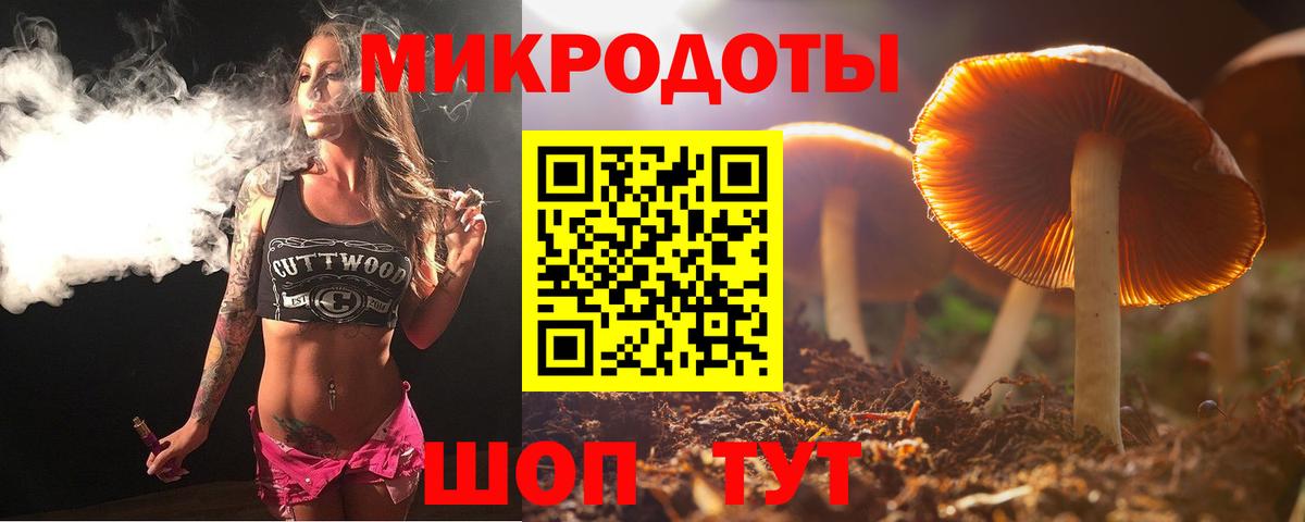 Галлюциногенные грибы Psilocybe  Вход с VPN  Кропоткин 